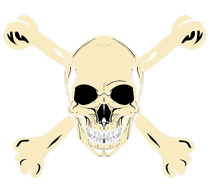 Pirate Skull Boat Decal #48
